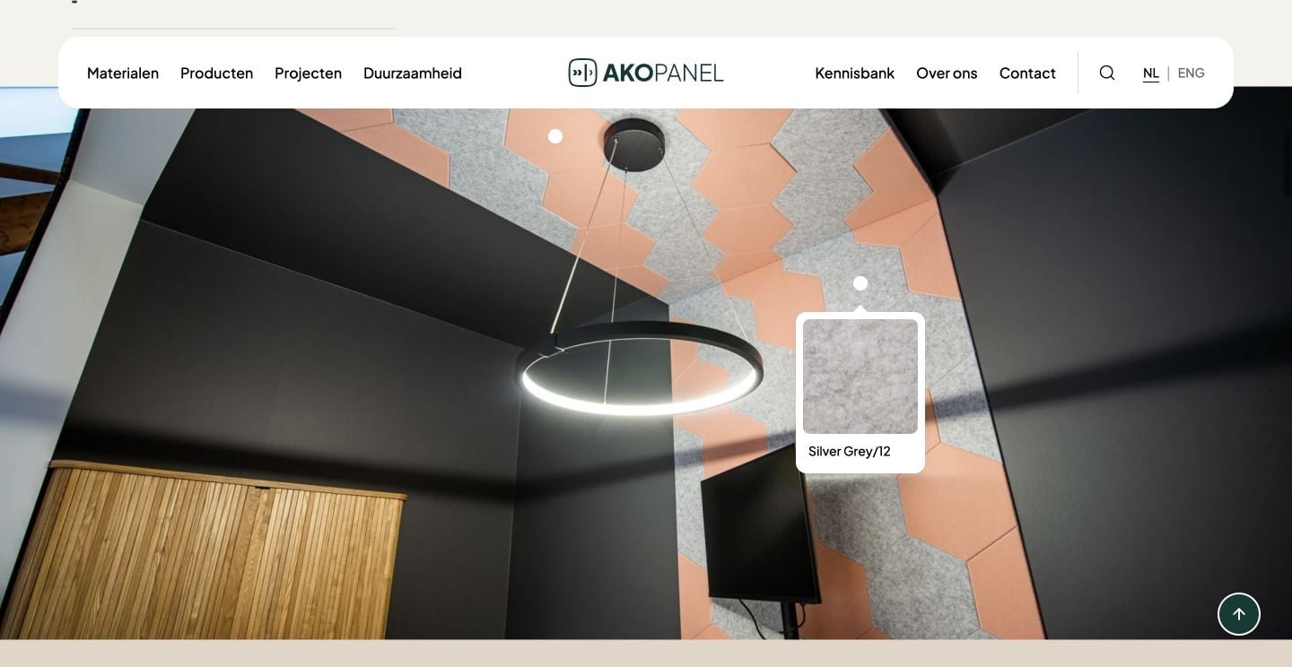 AKOpanel website met volledige navigatie, projectfoto en geopende kleurhotspot Silver Grey/12